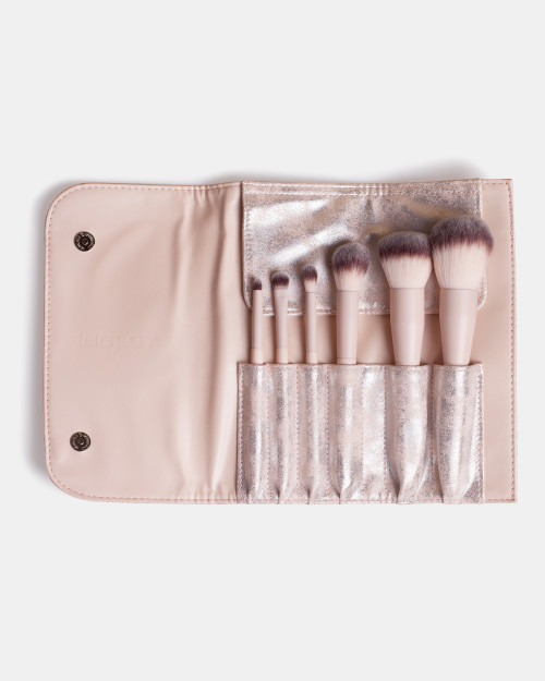 Ensemble de Pinceaux de Maquillage dans une Trousse Argentée