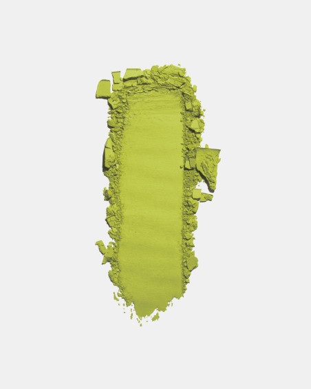 Ombre à paupières FREEDOM SYSTEM MATTE NF