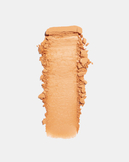 Poudre compacte FREEDOM SYSTEM Satin Skin