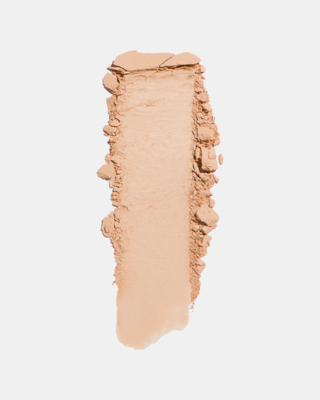 Poudre compacte FREEDOM SYSTEM Perfect Finish