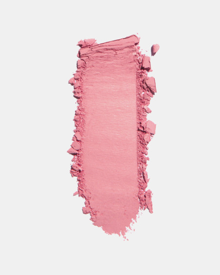 Fard à joues FREEDOM SYSTEM Radiant Skin