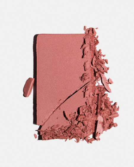 Fard à joues FREEDOM SYSTEM Radiant Skin