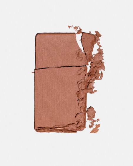 Fard à joues FREEDOM SYSTEM Radiant Skin