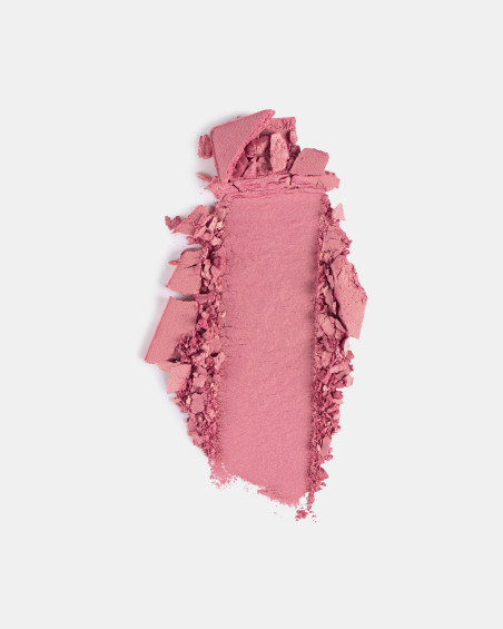 Fard à joues FREEDOM SYSTEM Radiant Skin